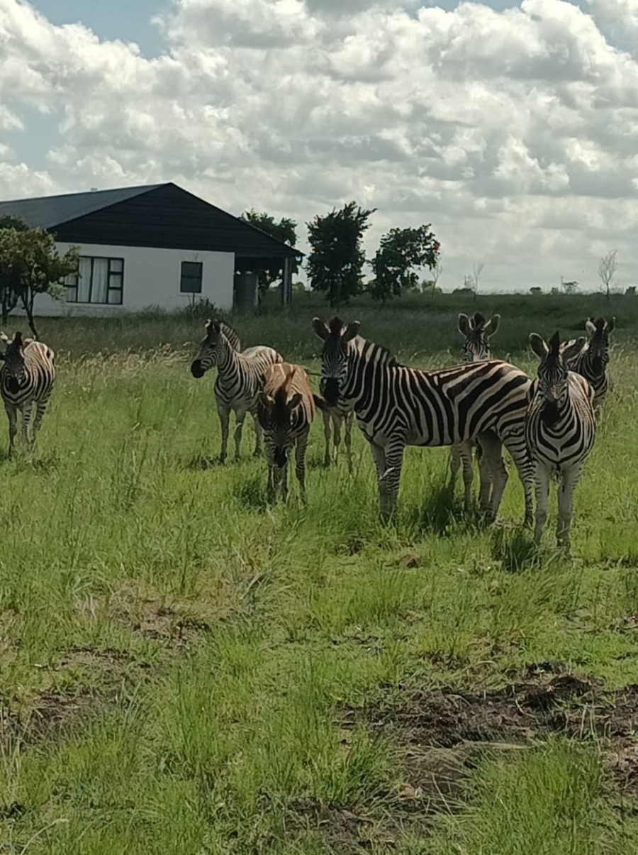 0 Bedroom Property for Sale in Oranjeville Free State